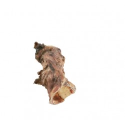Trache de Bovin : Cornet