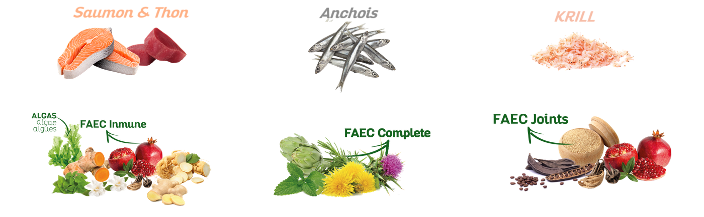 INGREDIENT%20MINI%20ATLANTIC.png