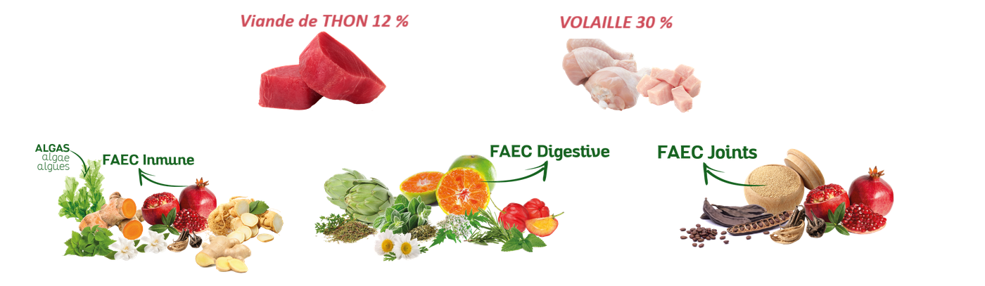 INGREDIENT%20MINI%20FIRST%20BITE.png