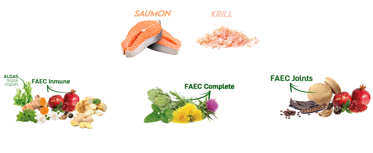 Ingredient%20GF_1.png