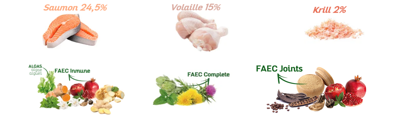 ingredient%20ligt%20mini.png