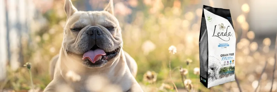 Alimentation naturelle pour Bulldog français avec des problèmes de santé