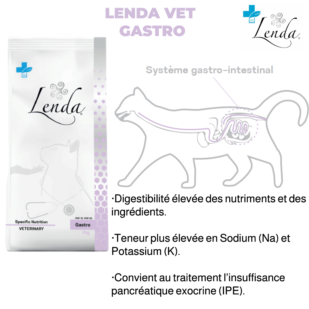 Lenda VET CAT Gastro : la solution aux problèmes digestifs??‍⚕️