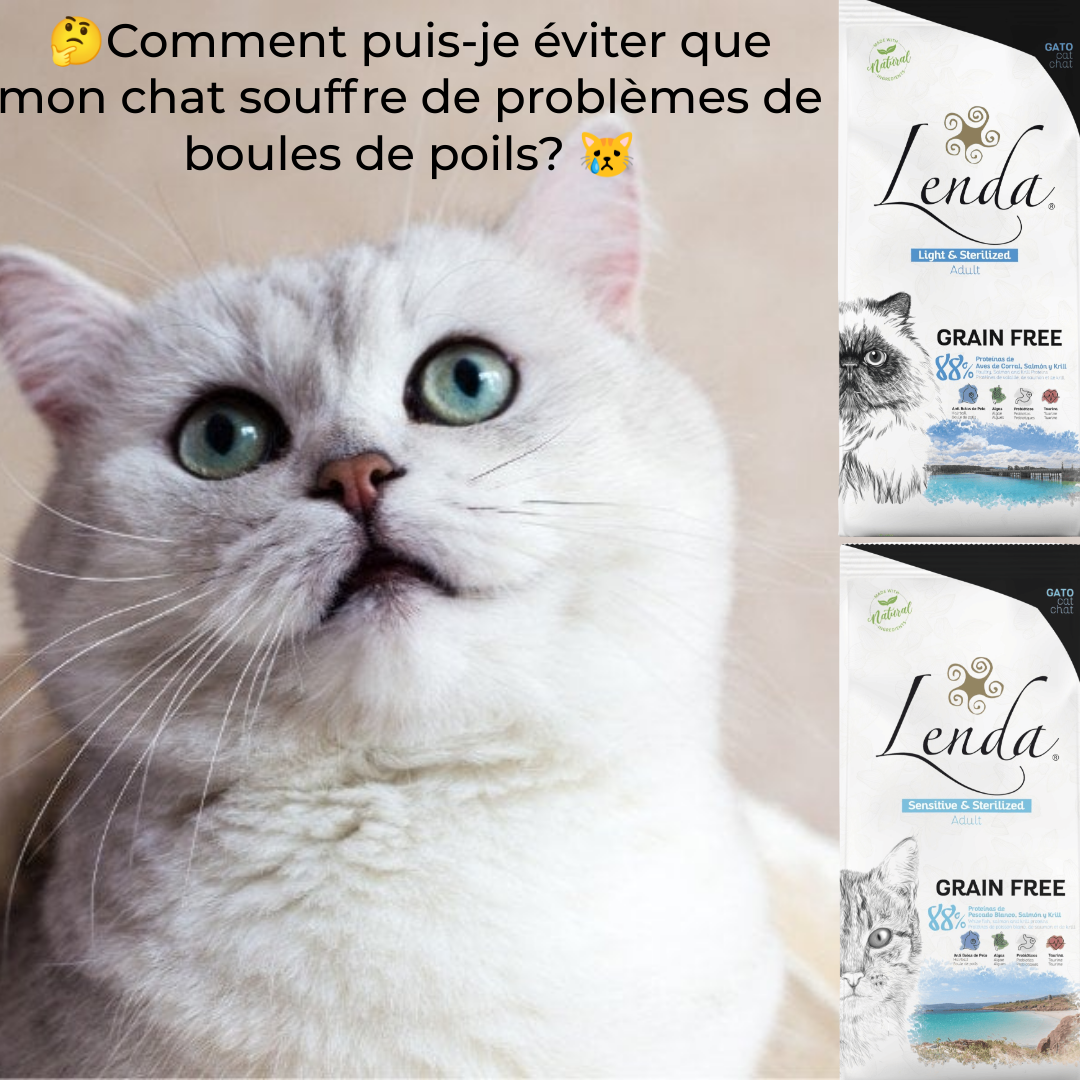 Comment puis-je éviter que mon chat souffre de problèmes de boules de poils ? ?