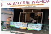 Animalerie Nahda ( TL CHASSE)
