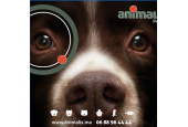 Animalix Petshop