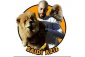 ANIMALERIE AZIZ SAIDI